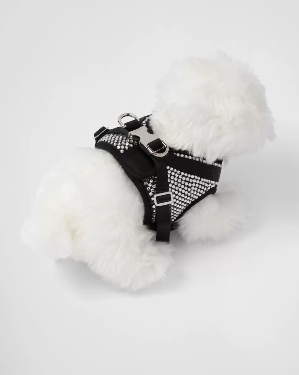 Clearance Prada Hundegeschirr Aus besetztem Satin Kristall