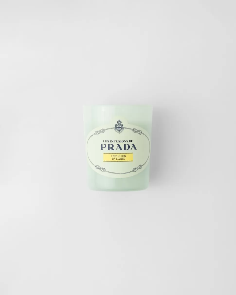 Best Prada Infusion D'ylang Kerze NEUTRI