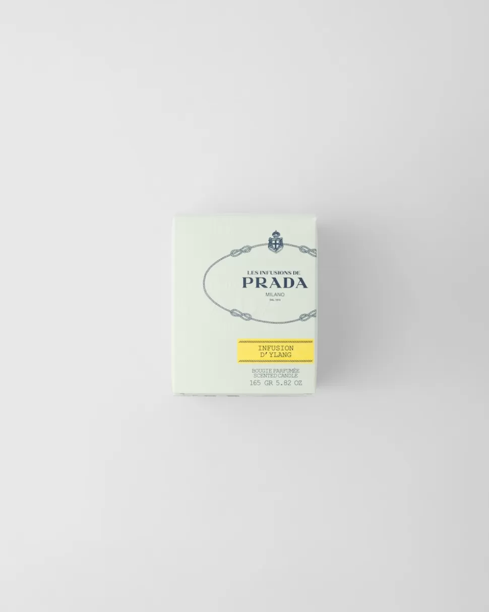 Best Prada Infusion D'ylang Kerze NEUTRI